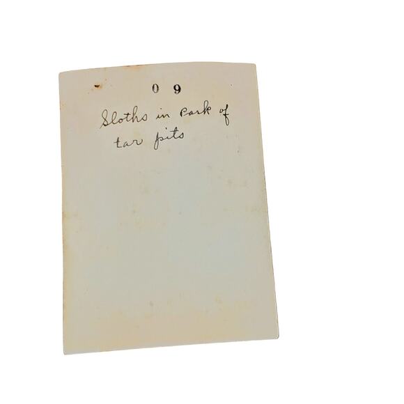 Vtg Sloths in Park of Tar Pits B&W Monochrome Photo 1940s Found Snapshot - Picture 2 of 4